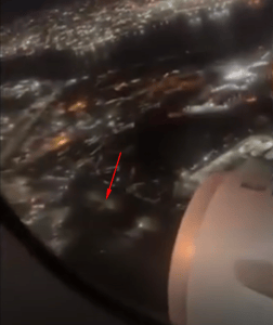 Bird Flies Into Flight Engine